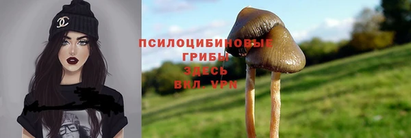 a pvp Кинешма