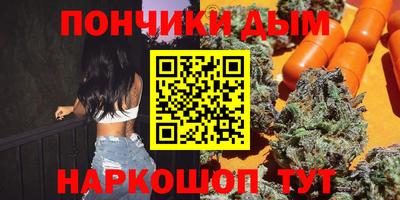 крисы Аргун