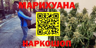 гидропоника Краснознаменск