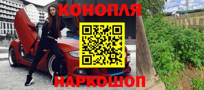 крисы Аргун