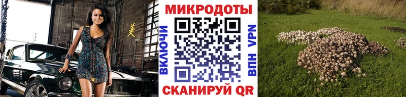 где купить наркоту  Мелеуз  Псилоцибиновые грибы прущие грибы 