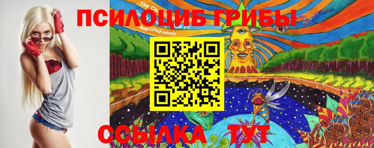 Псилоцибиновые грибы мухоморы Мелеуз