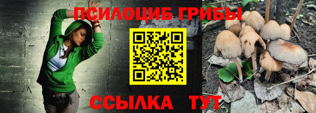 Галлюциногенные грибы Psilocybe  Вход с VPN  Галлюциногенные грибы GOLDEN TEACHER  Мелеуз 