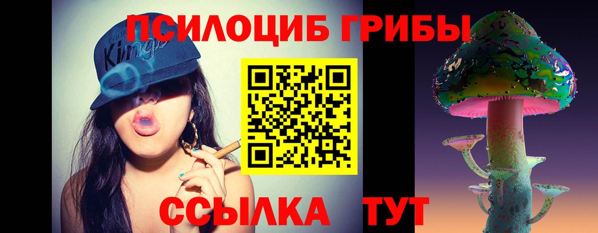 Галлюциногенные грибы MAGIC MUSHROOMS  Мелеуз  купить наркотики сайты  Галлюциногенные грибы Psilocybine cubensis 